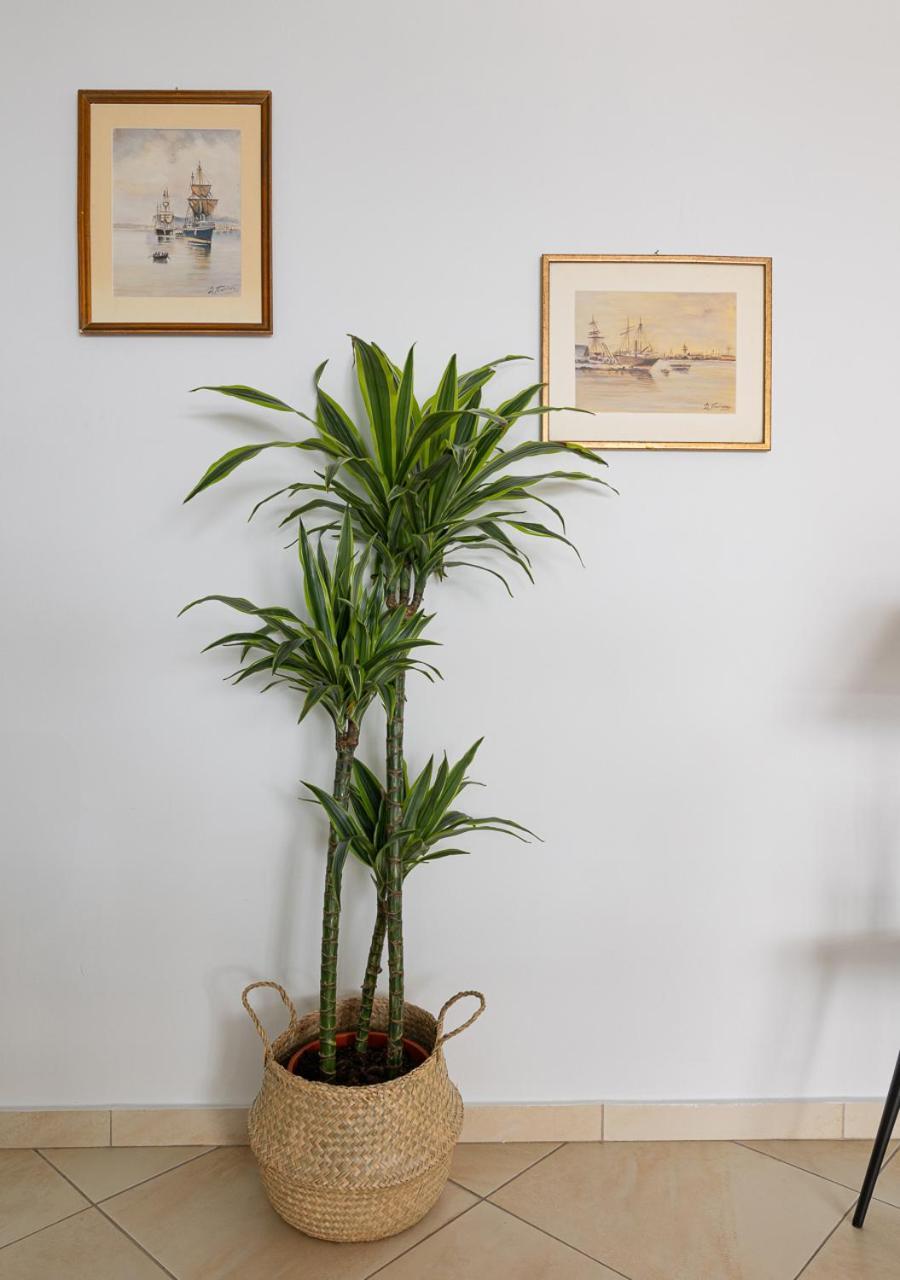Elegant Apt 50Meters Close Acropolis Athena Bagian luar foto